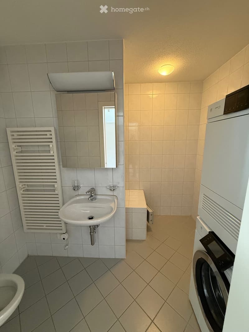 small bathroom with sink, toilet, washing machine, towel dryer