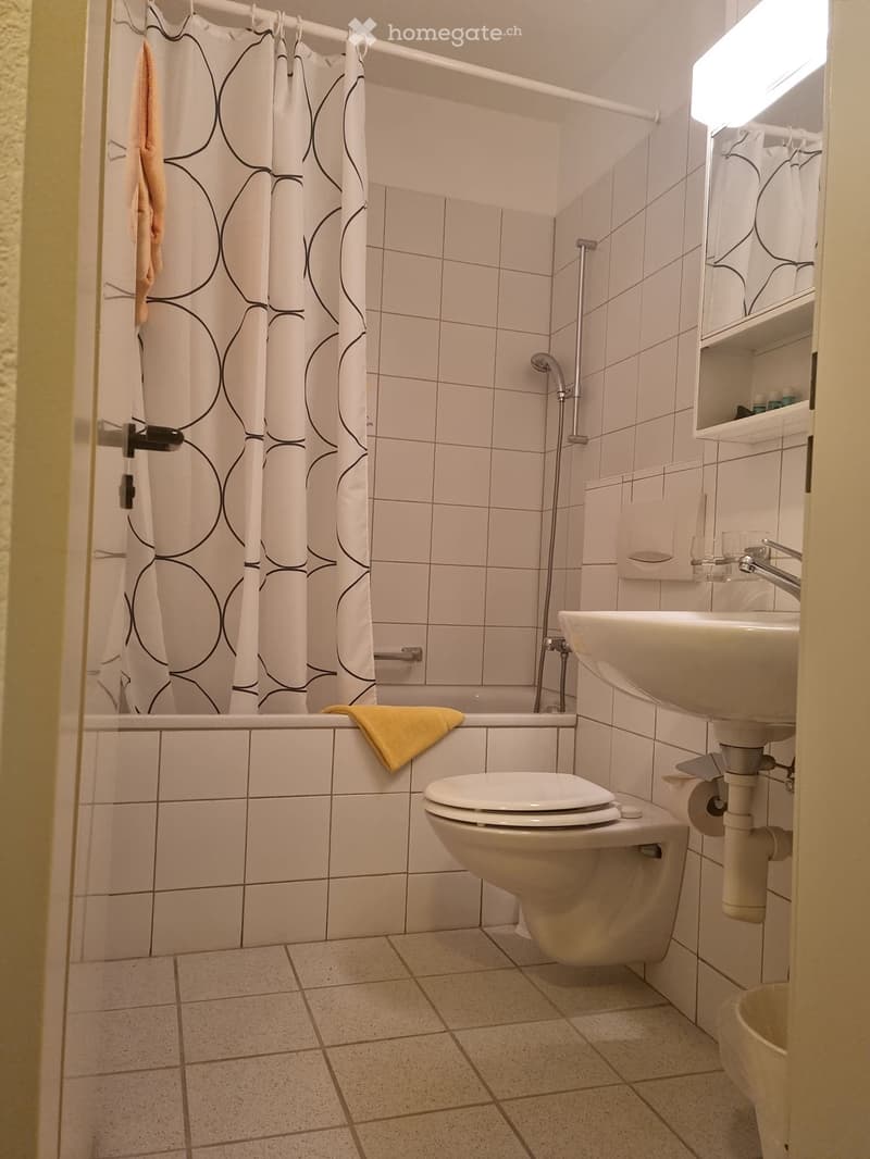 Small bathroom with bathtub, toilet, sink, and shower.