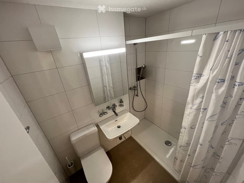 Modern bathroom with white tiles, a toilet, a sink with a mirror, and a shower area with a curtain.