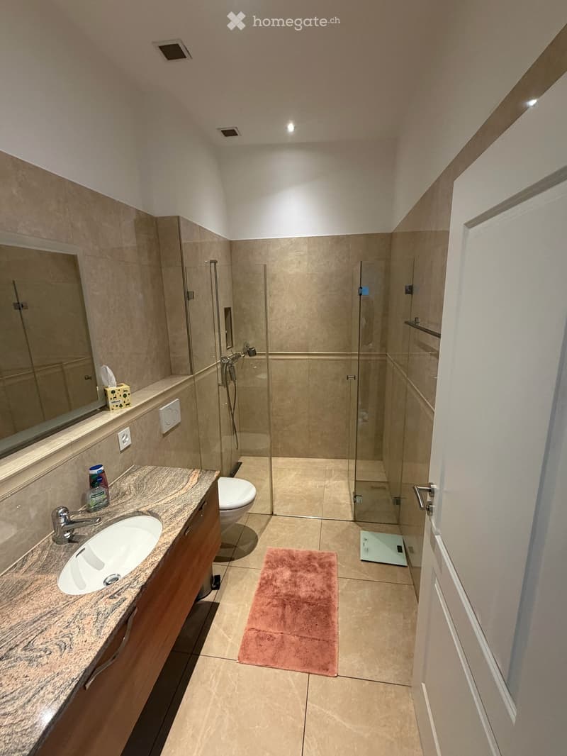 Elegante 2.5-Zimmer-Dachwohnung mit 34 m2 Dachterrasse an der Hottingerstrasse in Zürich (11)
