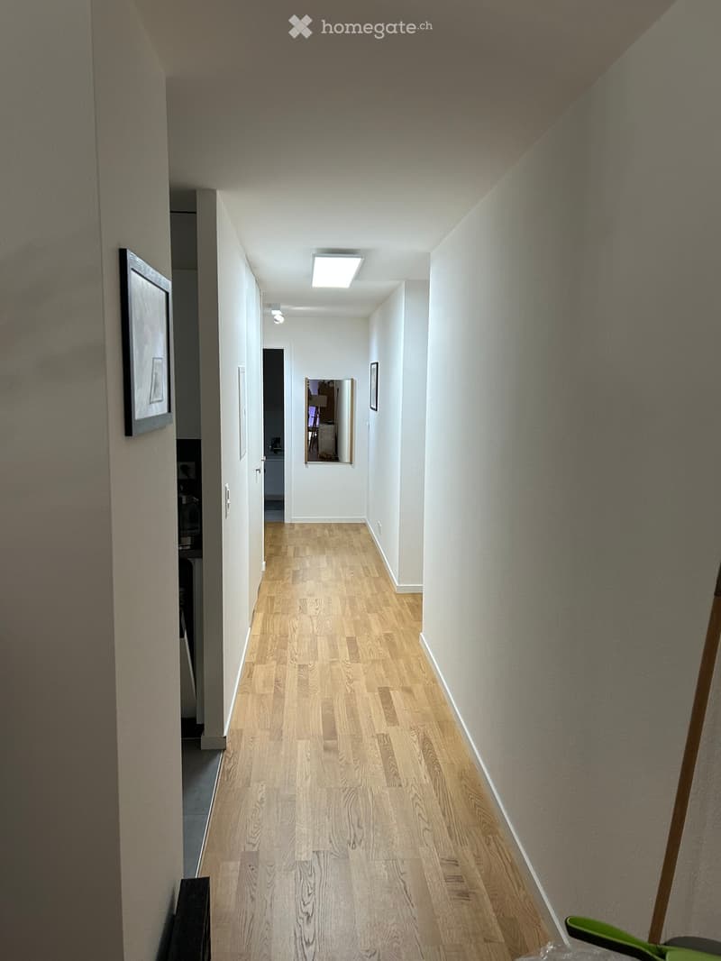 A narrow hallway with light wooden flooring, white walls, and a ceiling light fixture. A mirror and framed artwork are visible on the walls.