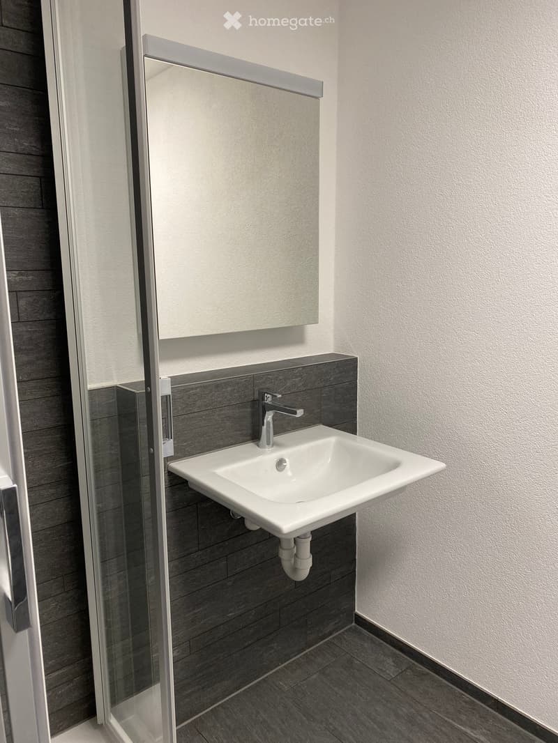 1.5 Zimmer Studio in Wallenwil/Eschlikon (6)
