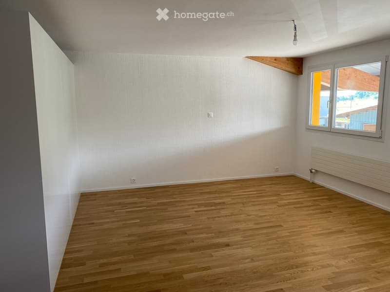 1.5 Zimmer Studio in Wallenwil/Eschlikon (3)