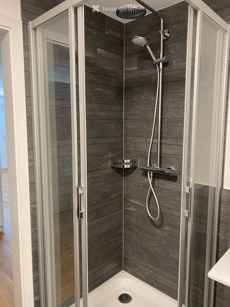1.5 Zimmer Studio in Wallenwil/Eschlikon (7)