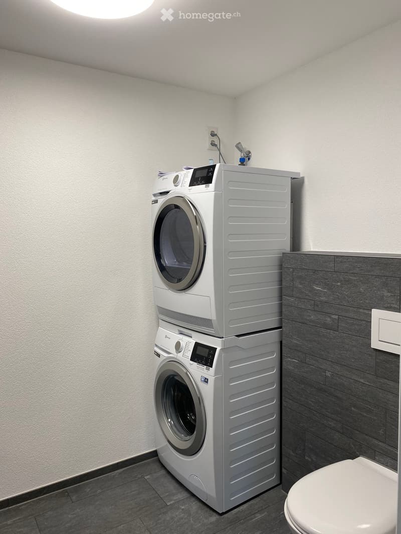 1.5 Zimmer Studio in Wallenwil/Eschlikon (5)