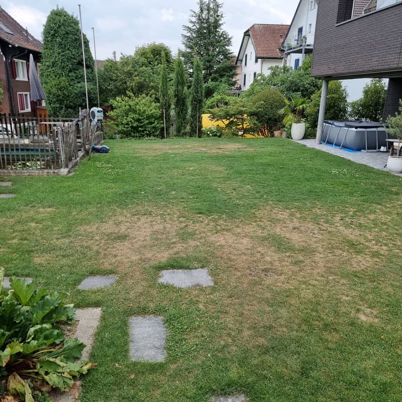Well-maintained garden with a lawn, a small pond, a patio area, and surrounding trees and shrubs.