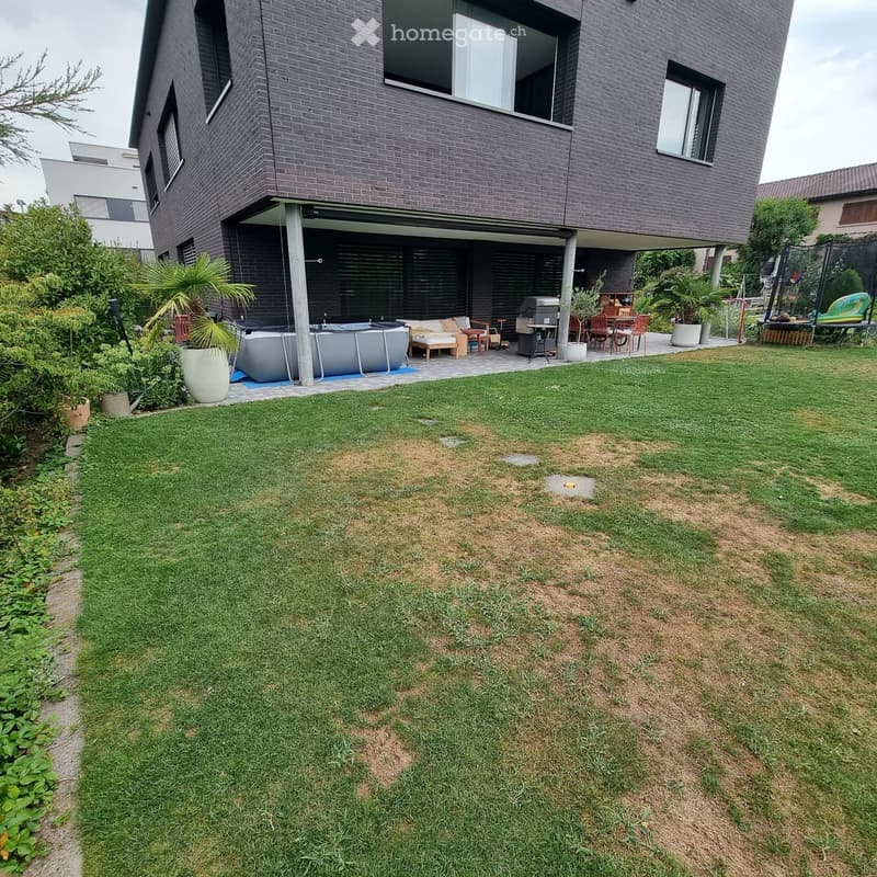 Lush green lawn with patches of dry grass, modern house with large windows and covered patio area, outdoor seating, grill, and trampoline.
