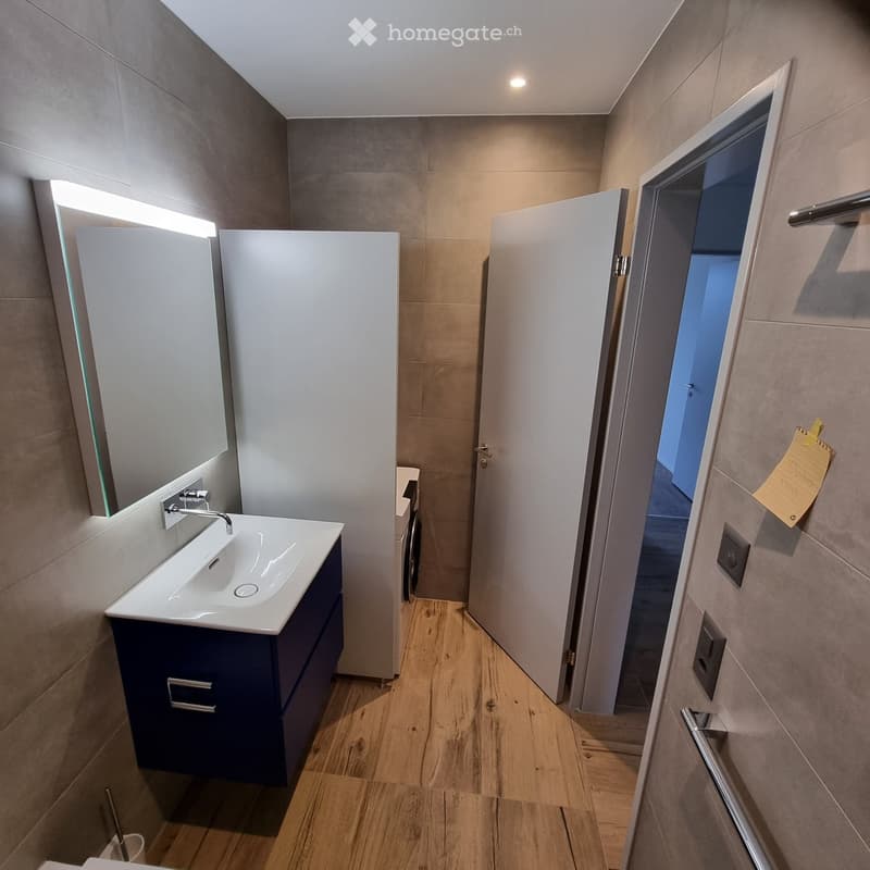 Modern bathroom with a white sink, dark blue cabinet, large mirror, and wooden flooring.