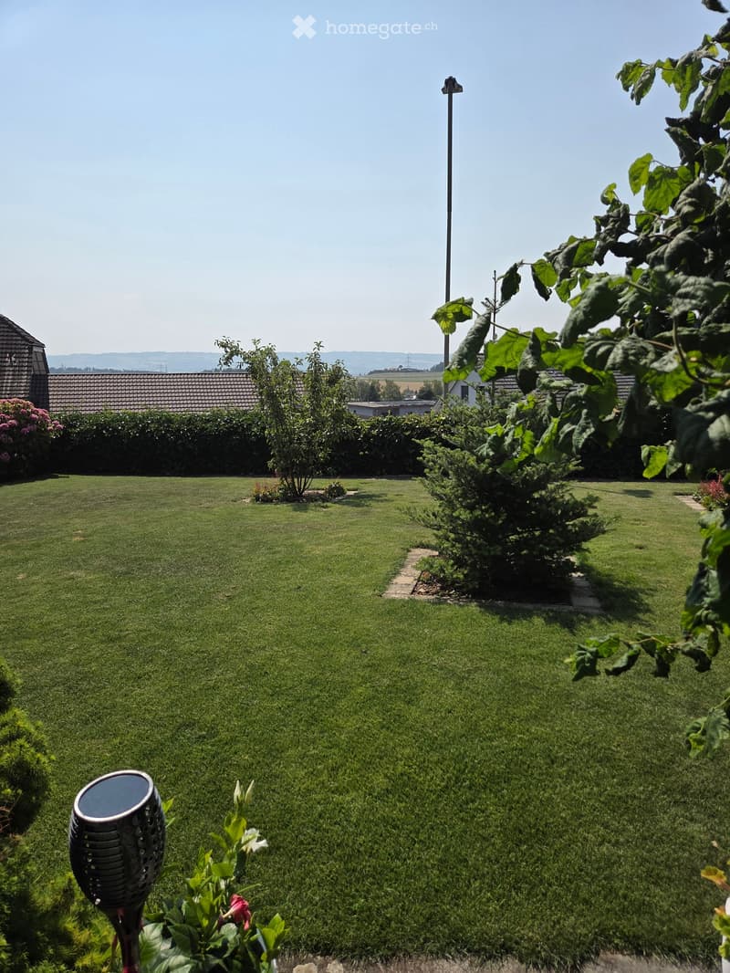 Well-maintained lawn with trimmed hedges, small trees, and flowering plants, surrounded by a wooden fence and distant houses.