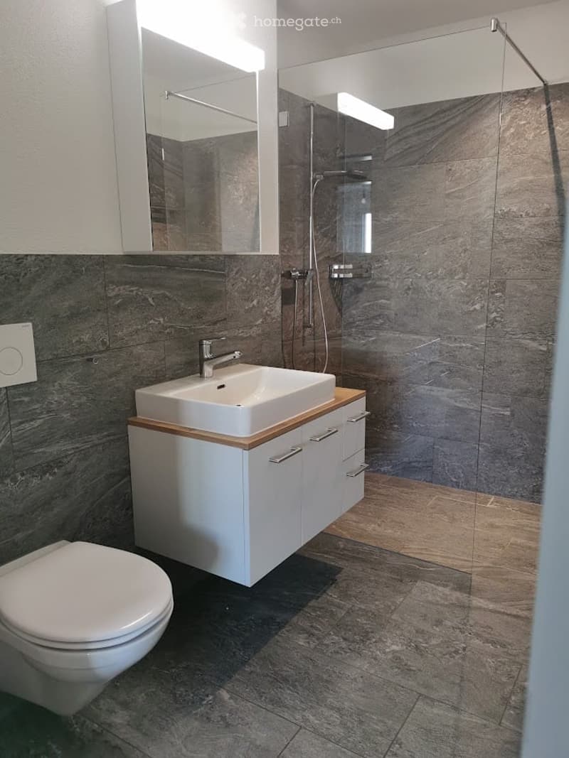 Modern bathroom with a white sink, faucet, mirror, cabinet, toilet, and a glass-enclosed shower with dark tiled walls.