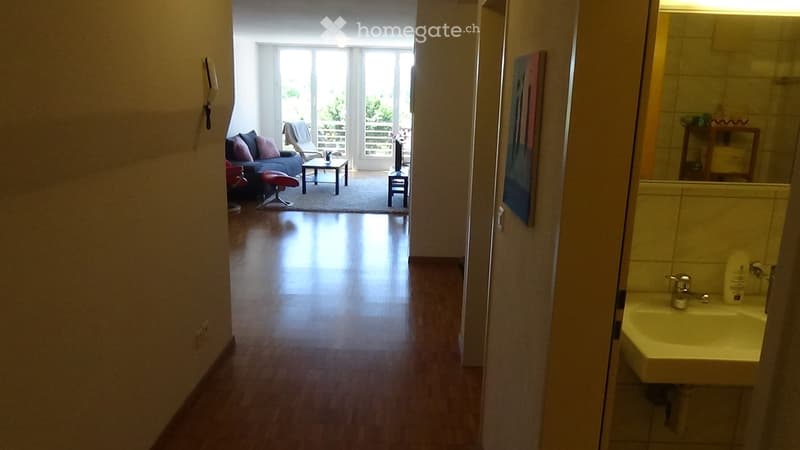 A hallway with wooden flooring leading to a living room and a bathroom. The living room features a sofa, coffee table, and large windows. The bathroom has a sink and mirror.