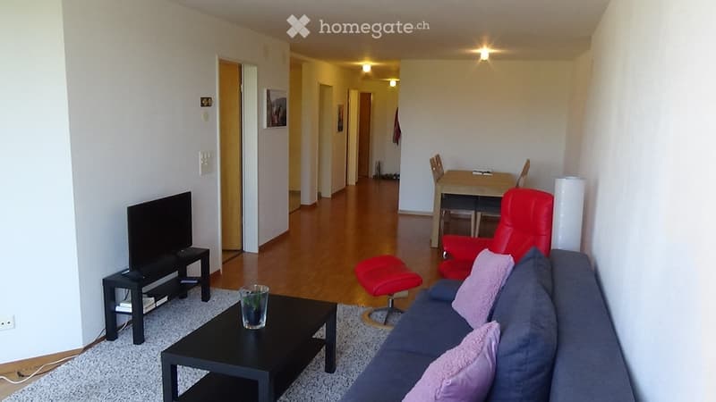 A modern living room with a grey sofa, coffee table, red chair, and a small dining area with a table and chairs. The room features a television on a stand and a small plant on the coffee table.