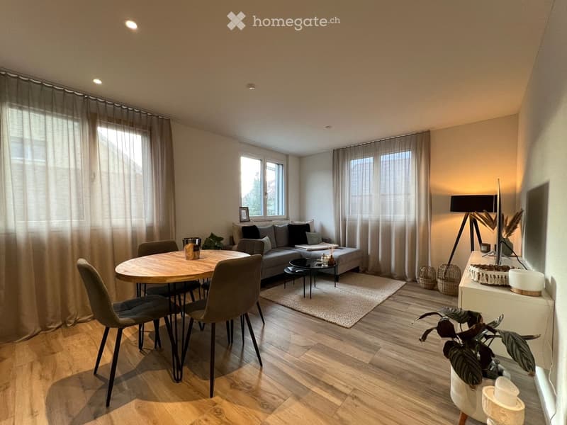 Modern living room with a sofa, coffee table, dining table, chairs, floor lamp, and decorative plants.
