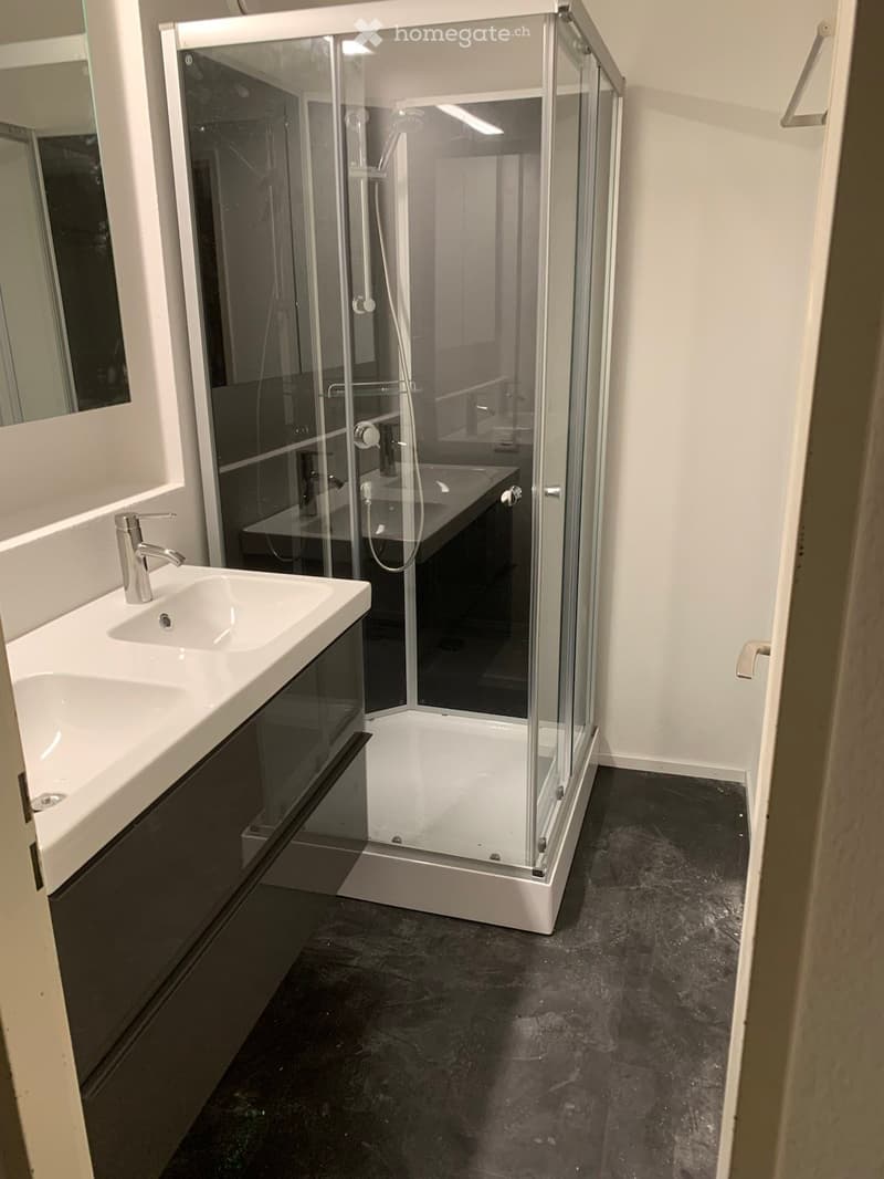 Modern bathroom with a white sink, chrome faucet, glass-enclosed shower stall, and a large mirror.