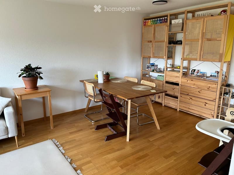 A well-furnished room with a wooden table, chairs, a baby chair, a cabinet, a plant, and a sofa.