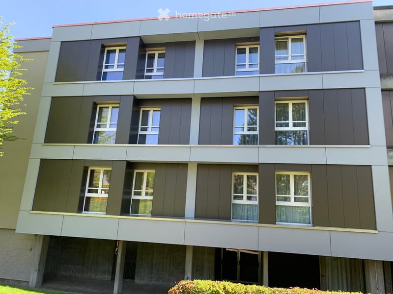 Modern multi-story building with a combination of grey and green paneling, large windows, and balconies.