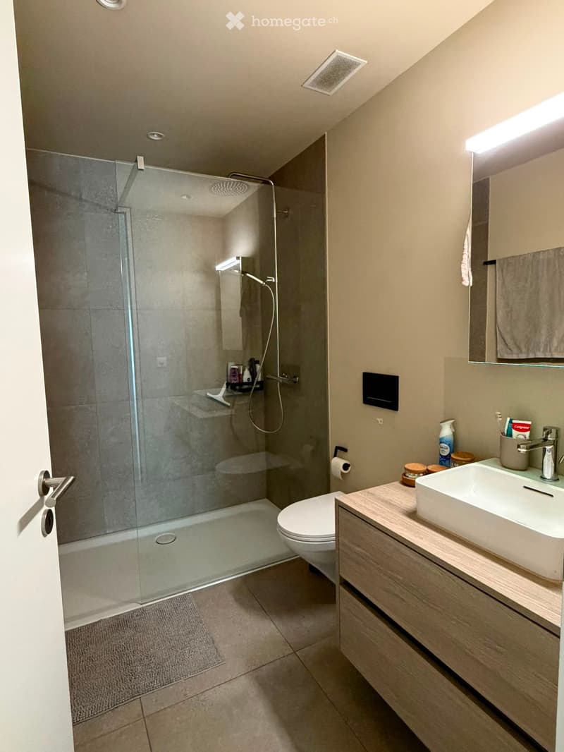 Modern bathroom with a glass-enclosed shower, a white toilet, a sink with a wooden cabinet, and a mirror with a built-in light. The shower features a handheld sprayer and a built-in seat. The floor is tiled, and the walls are painted in a neutral tone.