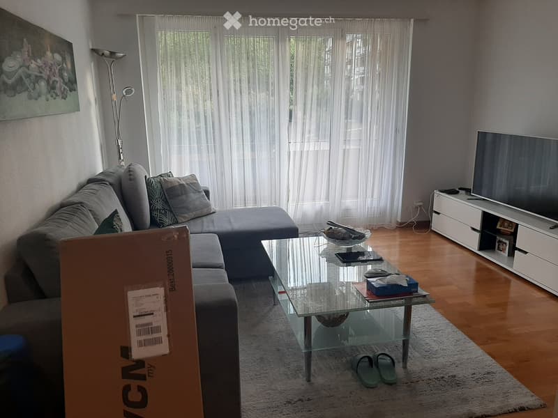 Modern living room with grey sectional sofa, glass coffee table, TV stand, floor lamp, and large windows with white curtains.