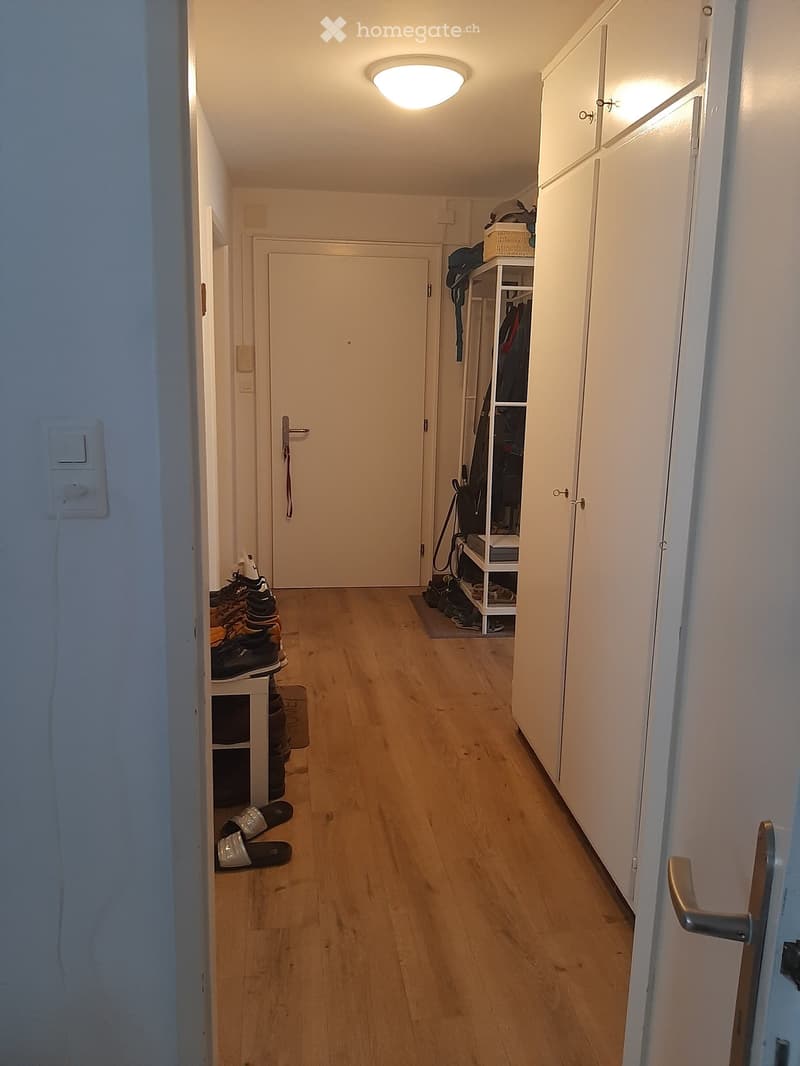 A narrow hallway with wooden flooring, white walls, and a closed door at the end. Shelves on both sides hold shoes and other items.
