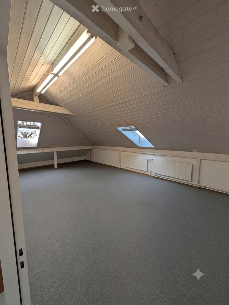 Empty attic space with wooden beams, skylights, and built-in shelving, featuring a grey carpeted floor and white walls.