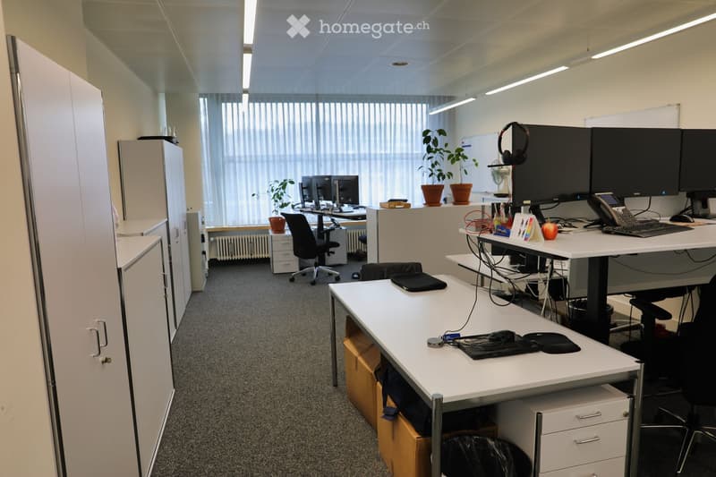 Empty room with multiple desks, chairs, cabinets, and plants