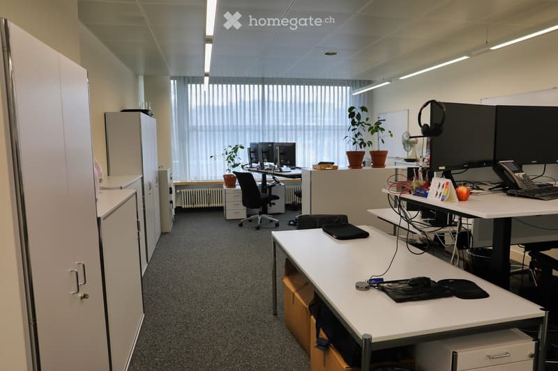 The office is empty, featuring white cabinets, desks, chairs, and equipment. Plants adorn the desks, while monitors, keyboards, and telephones are in place.