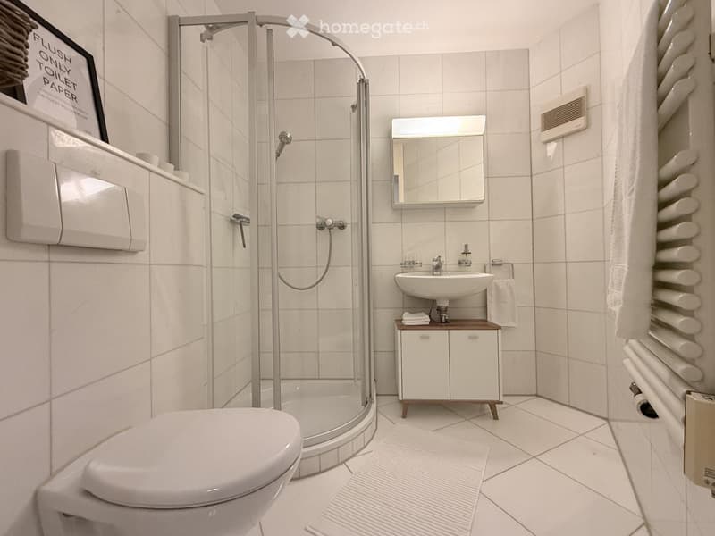 Modern bathroom with white tiles, a toilet, a glass-enclosed shower, a sink with a mirror, a small wooden cabinet, and a white radiator.