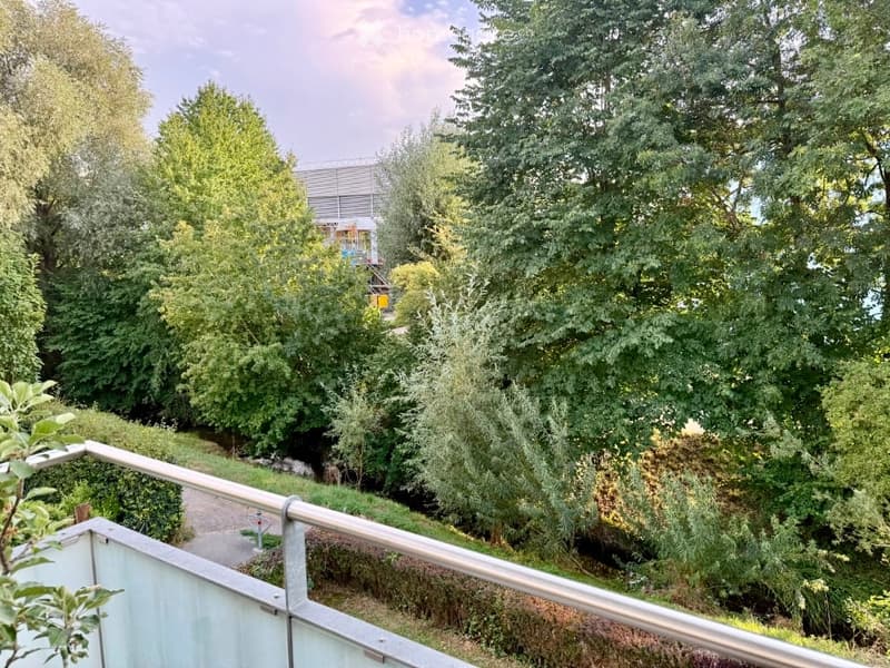 A lush, green garden area with tall trees, shrubs, and a pathway leading to a modern building in the background.