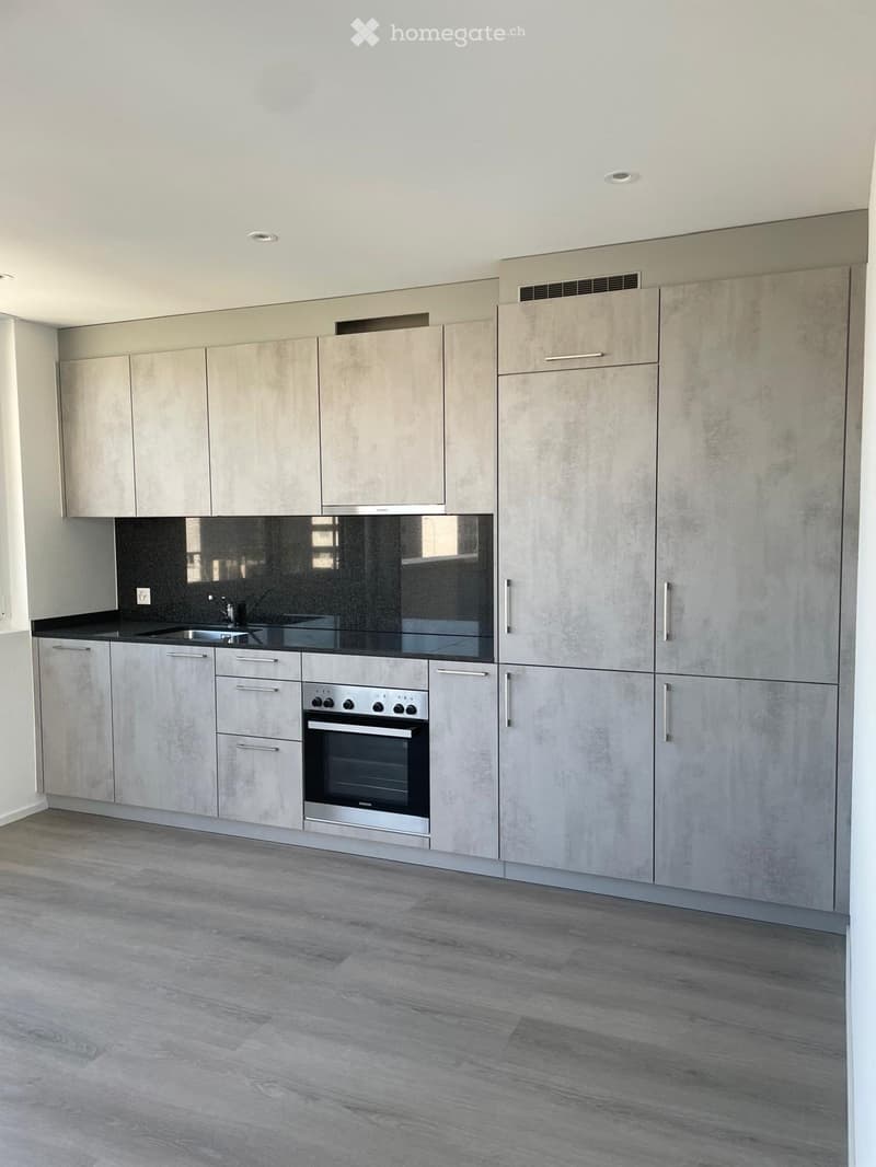 Modern kitchen with grey cabinets, stainless steel oven, and black countertop.