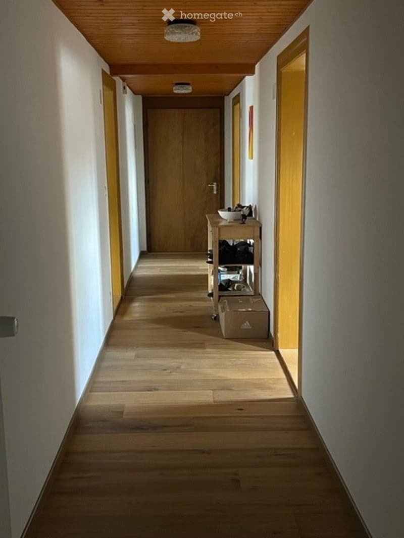 Wooden floor, ceiling light, door, shelves with items, picture on the wall