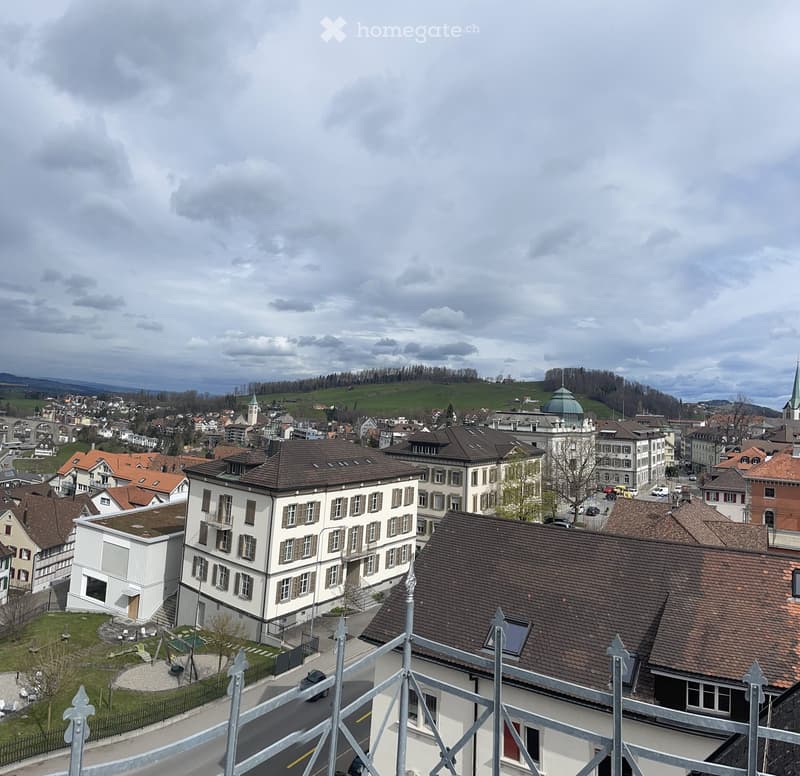 Cityscape with various buildings, green field in the distance, cloudy sky, road below, metal fence on the right