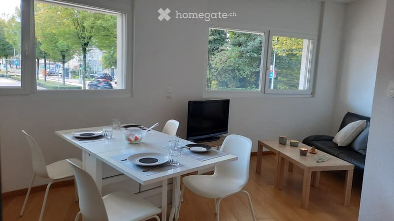 Modern living and dining area with white dining table, chairs, sofa, coffee table, and television. Large windows provide natural light.