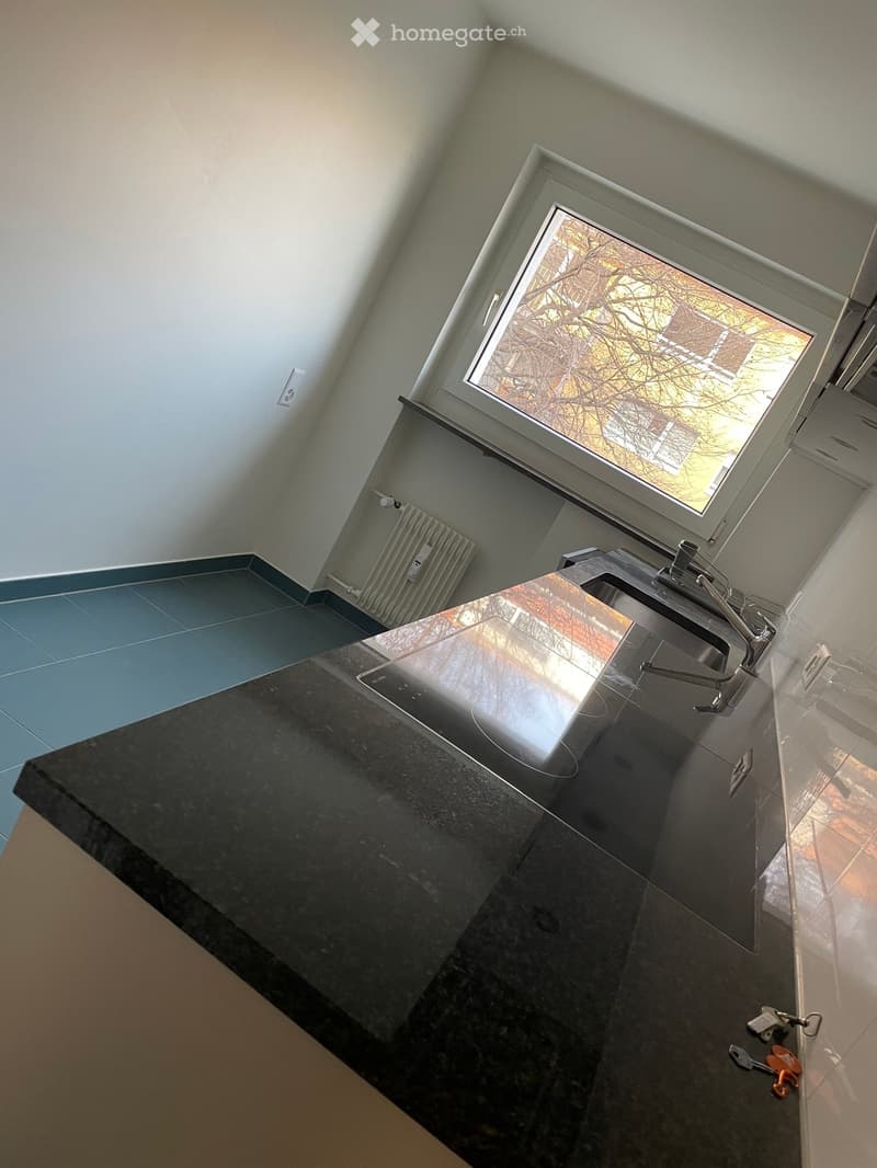 Modern kitchen with dark granite countertop, stainless steel sink, and a window overlooking a tree-lined area.
