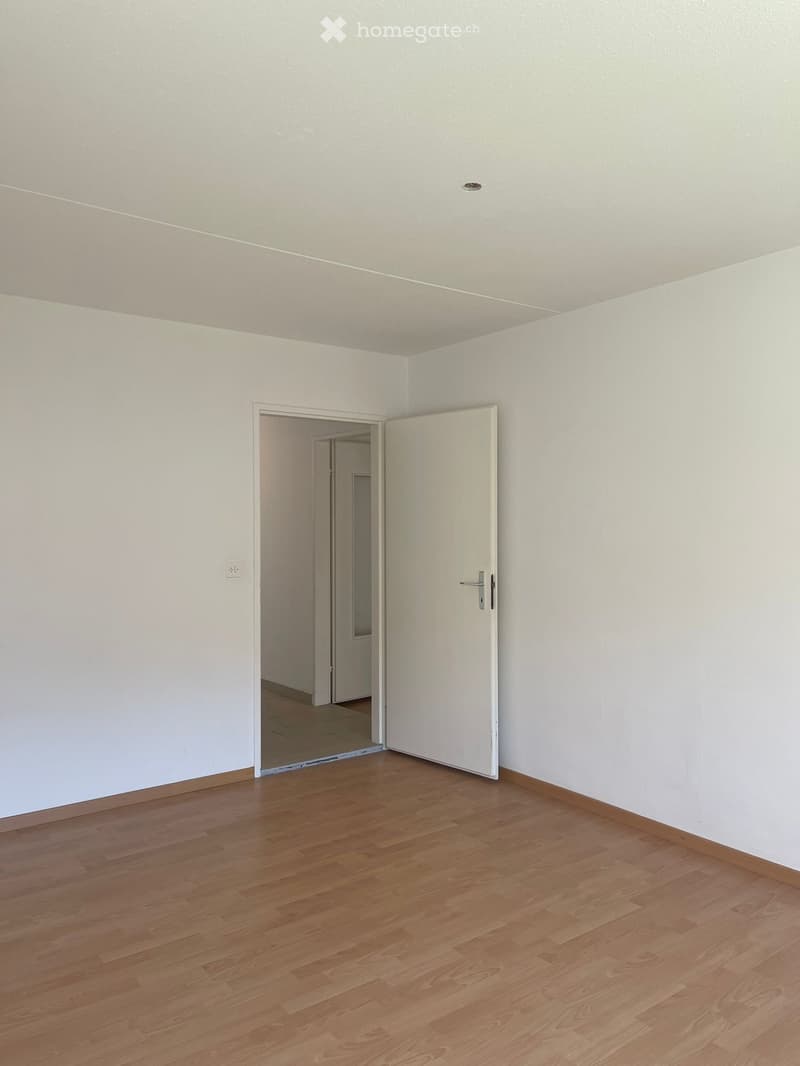 Large empty room, wooden floor, white walls, sliding door, another room behind it