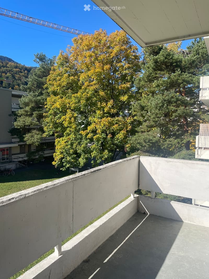 A balcony with a concrete railing, overlooking a landscaped area with trees and grass.