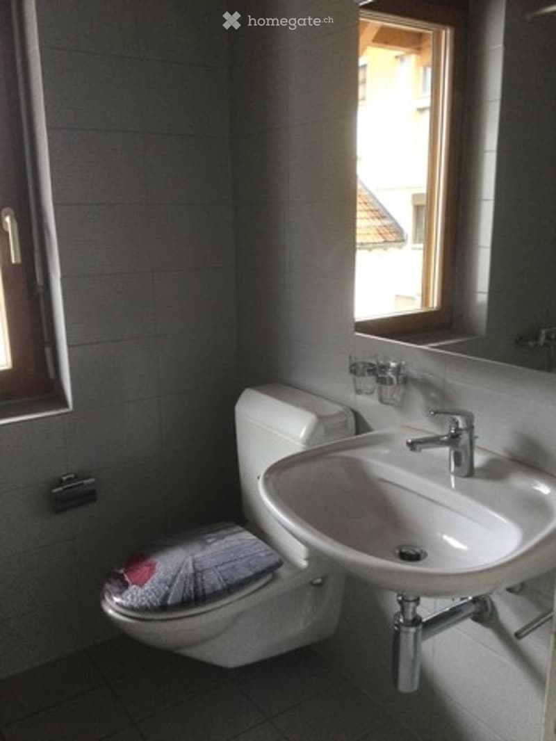 Bathroom with a toilet, sink, and mirror. The toilet has a decorative cover, and the sink has a modern faucet. A window provides natural light.