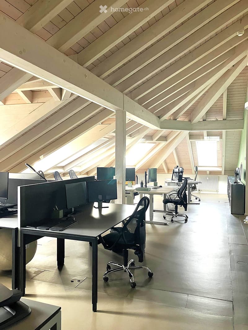 Arbeitsplatz im Open Office am Stadelhofen – 24/7 Zugang, Seeblick, Zürich (9)