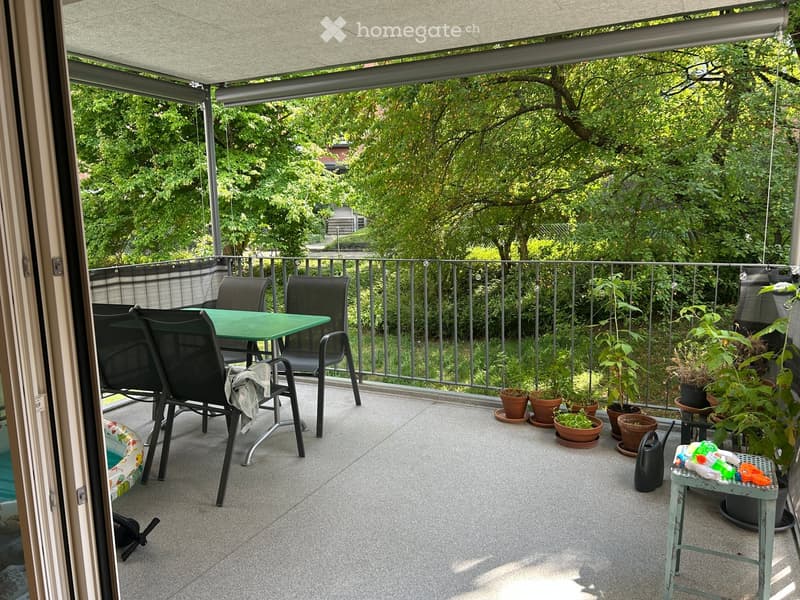 Balcony with a green table, black chairs, potted plants, and a retractable awning.