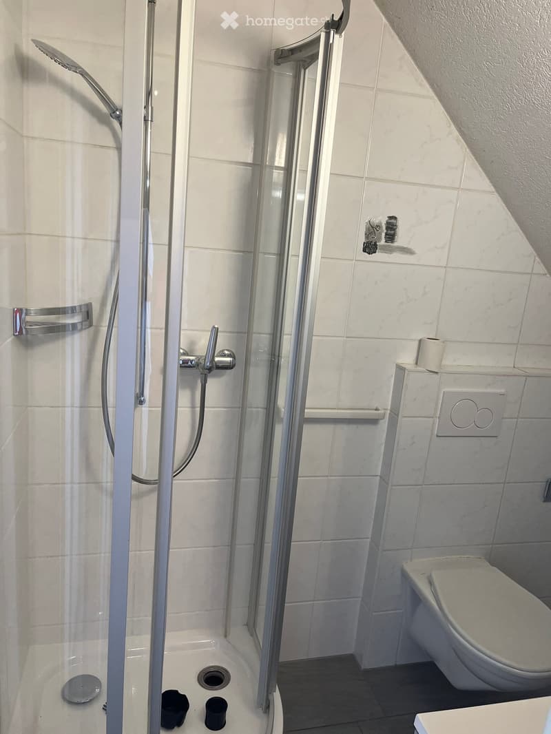 Modern bathroom with a walk-in shower, toilet, and white tiled walls. Features a glass shower enclosure, chrome fixtures, and a toilet paper holder.