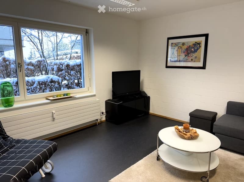 Modern living room with large windows, grey sofa, white coffee table, TV stand, and decorative items on the windowsill.