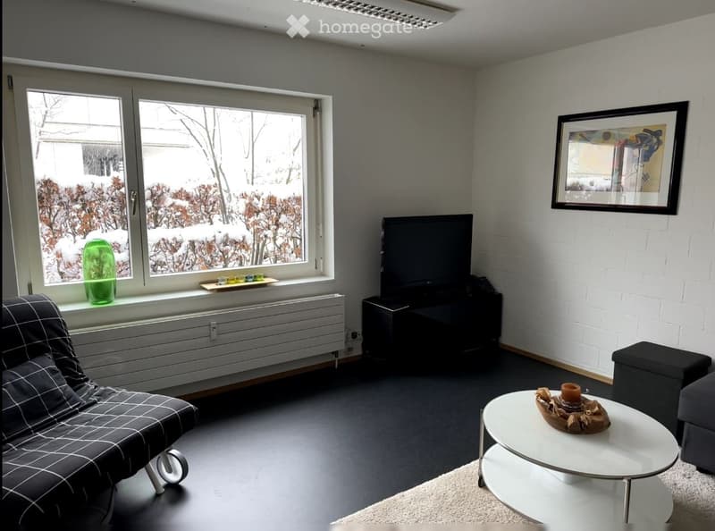 Modern living room with dark flooring, white brick accent wall, large window with snow view, sofa, coffee table, TV, and decorative items.