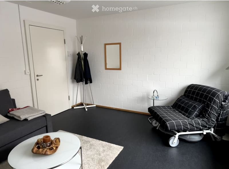 Modern living room with white brick walls, black carpet, grey sofa, coffee table, and a coat rack with jackets.