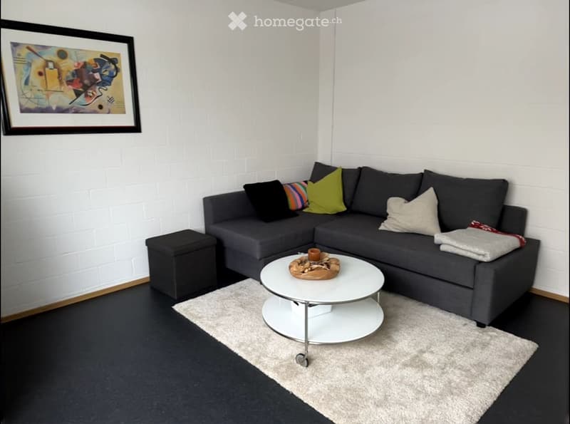 Modern living room with a grey sectional sofa, white coffee table, black ottoman, and a small rug on a dark floor.
