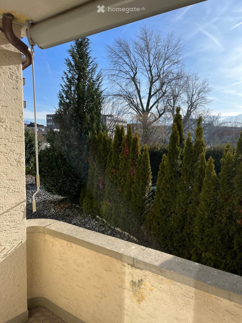 Balcony with a low concrete railing, overlooking a landscaped area with neatly trimmed coniferous trees and a clear blue sky.