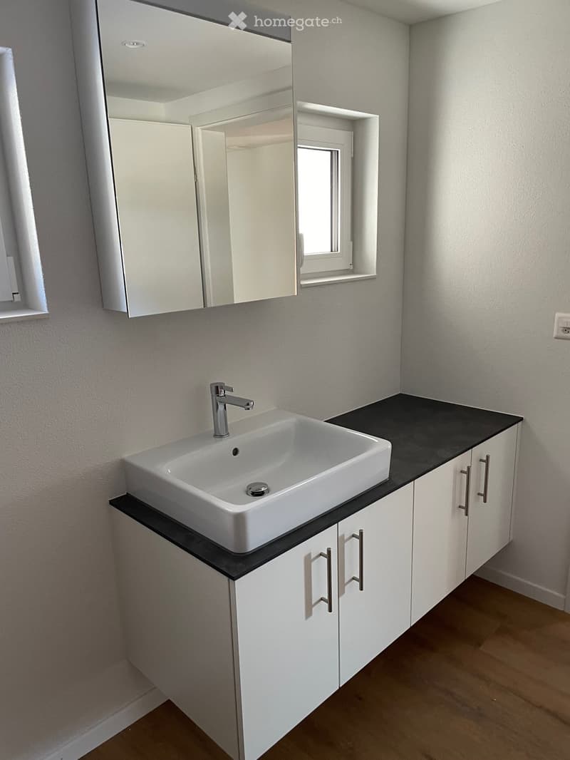 Modern bathroom with a white sink, chrome faucet, white cabinets, and a large mirror above the sink. The countertop is black, and the floor is wooden.