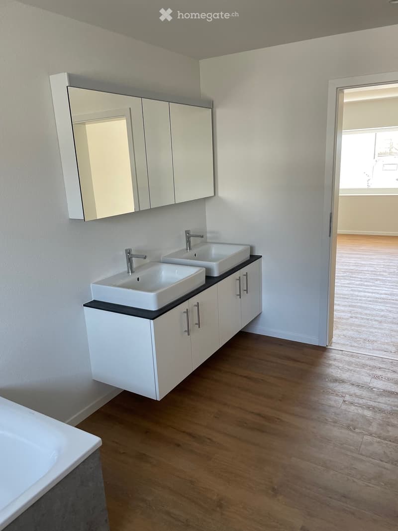 Modern bathroom with two white sinks, mirrored cabinet, and wooden flooring.