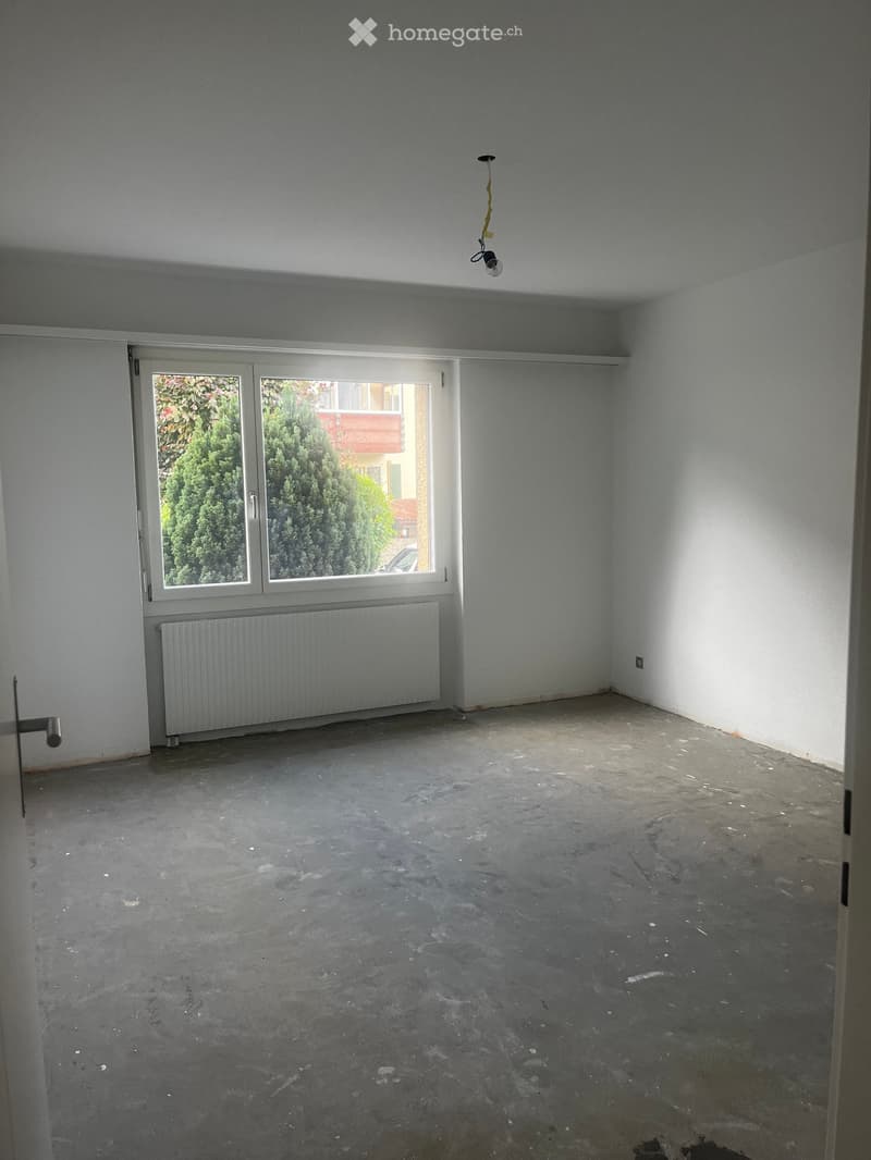Empty room with bare walls, concrete floor, large window with view of greenery, radiator, and a single light fixture on the ceiling.