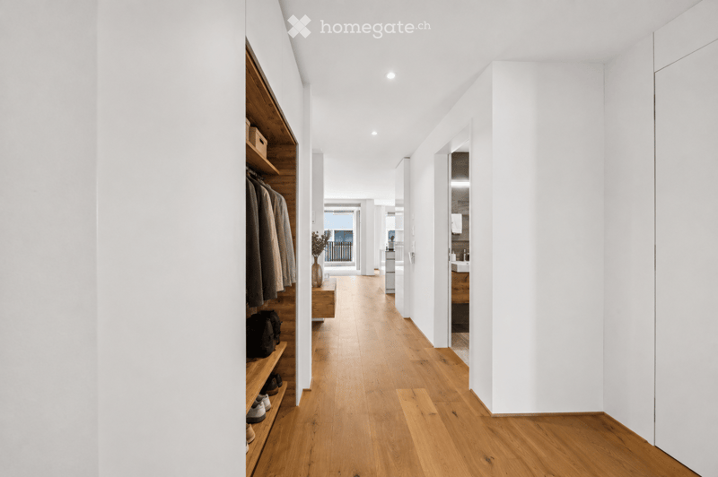 Modern hallway with light wooden flooring, white walls, built-in wooden shelving unit with coats and shoes, small plant on a table, and a view of a balcony area at the end.