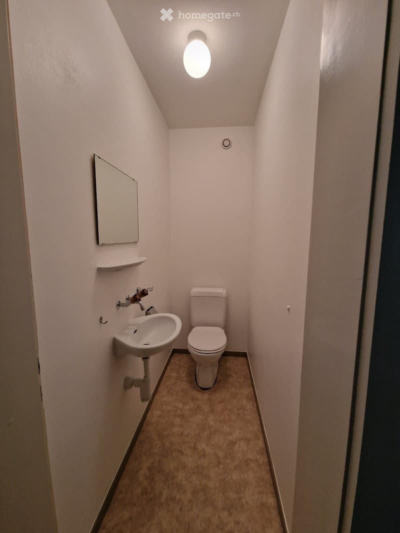 Small bathroom with a toilet, sink, mirror, and a single light fixture on the ceiling.