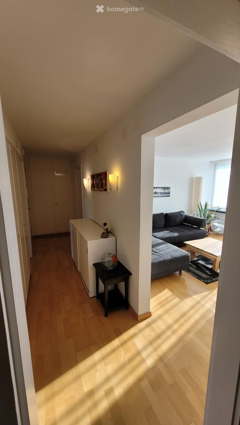 Gemütliche 3- Zimmer Wohnung mit grosser Terrasse (3)